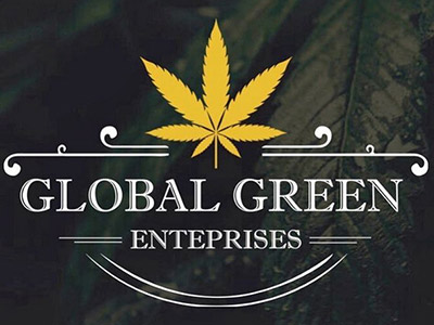 Thumbnail for Global Green Enterprises graphic design project, highlighting sustainable branding