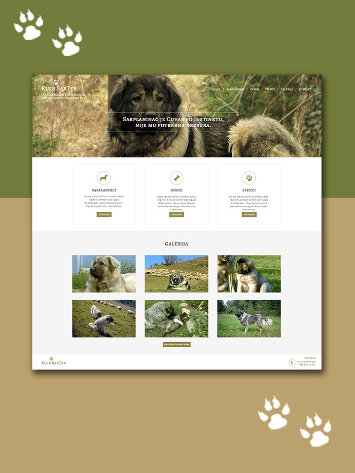 Website and logo design for private kennel of Yugoslavian Shepherd Dog breed - Sarplaninac